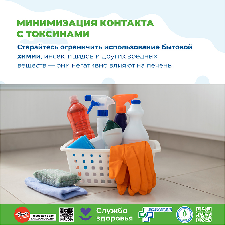 PFP 6